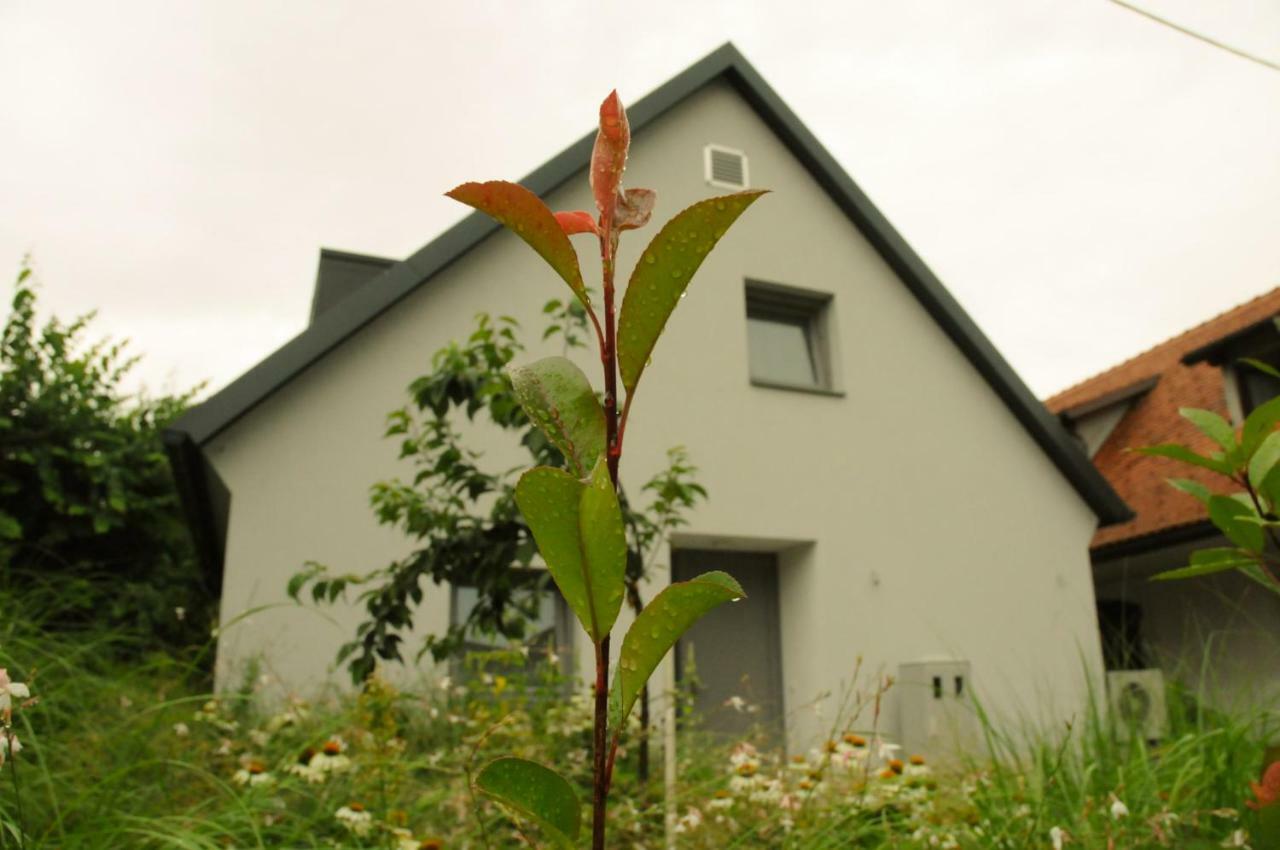 Vacation Home K22 Ljubljana Exterior photo